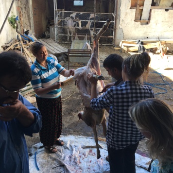 people cutting a lamb up for meat on the sacrifice holiday